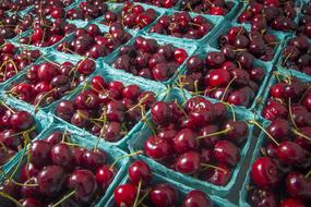 red Cherries Fruit Food