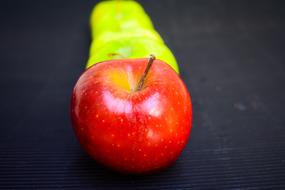 red apple on dark background