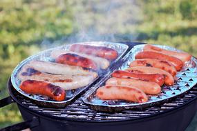 Close-up of the beautiful and colorful sausages on the grill with smoke, on the green grass, on the picnic