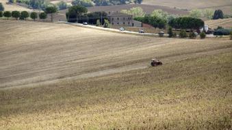 Beautiful landscape of the field with plants, buildings and tractor