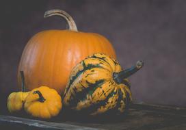 orange and striped pumpkin