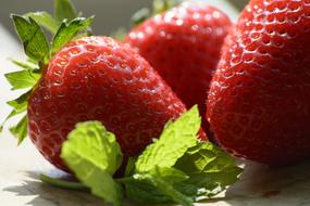 Red strawberry with mint leaves