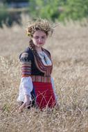 Harvest Summer Nature