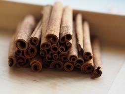 Cinnamon Spice Stick