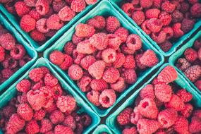 Turquoise baskets of the beautiful, pink and red raspberries at the market