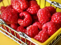 Basket Berry Breakfast