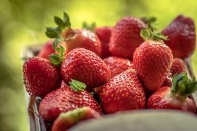 red Strawberries Fruits in Basket