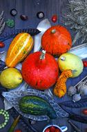 Pumpkin Autumn Still Life