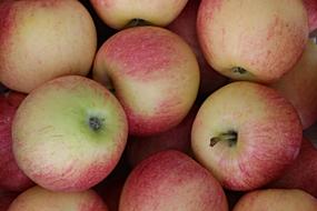 Healthy Apples Fruits