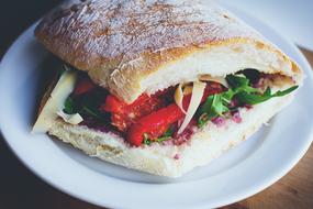 sandwich with vegetables on a plate