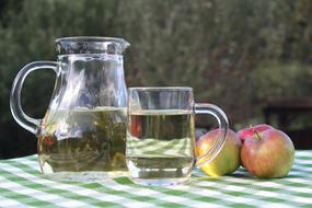 apple cider in a jug on the table