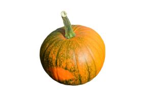 orange-green pumpkin on white background