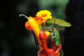 Beautiful and colorful, shiny paprika peppers, flowers and leaves, in the glass