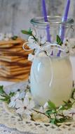 Milk Cookies Butter Biscuits