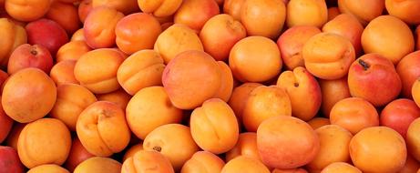 Apricots Fruit Fruits