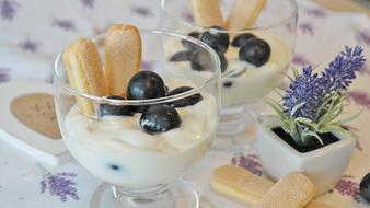 Quark Cream Dessert