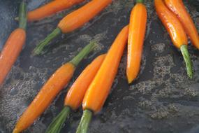 carrots in a pan close-up
