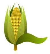 clipart of tenon corn cob
