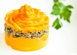 Food Puree Fresh