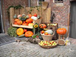 Pumpkins Fruits Nuts decoration