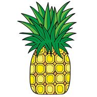 cartoon pineapple fruit