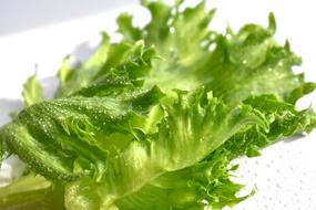 green lettuce leaves on a white napkin