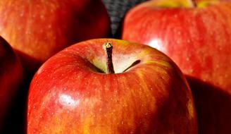 Ripe Apple Fruit