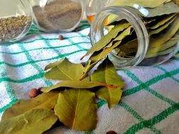 dry bay leaves on the kitchen table