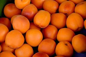 Apricots Fruits Delicious Stone