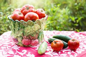 Tomatoes Harvest Vegetable