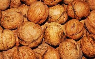 Walnuts Nuts as background