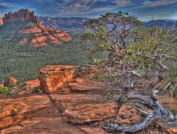 Scenic Landscape of Brins Mesa Rim