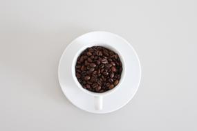 coffee beans in a cup and saucer