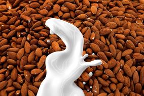 Almond Milk and nuts