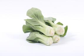 Close-up of the bok choy with green leaves, on the white surface