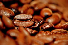 macro picture of Coffee Beans Stimulant