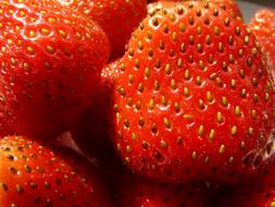 Strawberries Picture