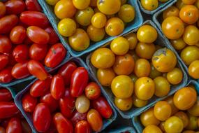 Tomatoes Fresh Vegetables