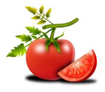 red tomato, green branch, white background