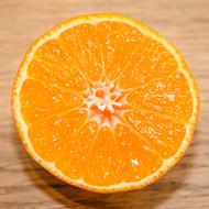 juicy cut orange close up