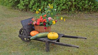 decoration, a wheelbarrow with a basket of flowers, pumpkins and a vegetable marrow