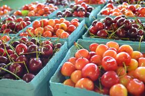 yellow and red cherries at the farmers' market