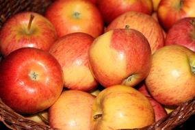 ripe red apples in a wicker basket close up