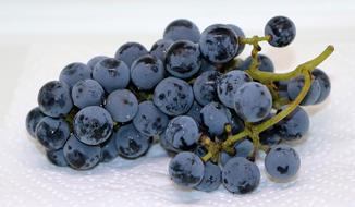 Grapes Blue Fruit