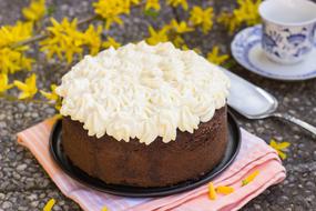 Cake Chocolate whipped Cream