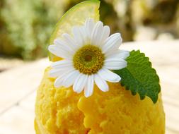 Mango Ice Cream Fruit