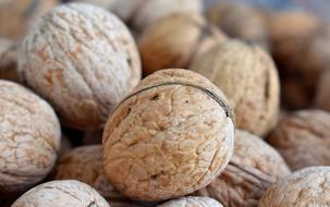 Close-up of the walnuts with shell, in light