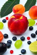 Close-up of the beautiful and colorful fruits, berries and green leaves, on the white surface