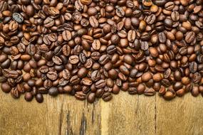 Close-up of the beautiful, shiny, brown coffee beans of different shades, on the wooden surface