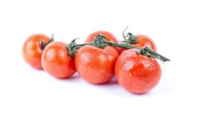 branch with red tomatoes on a white background